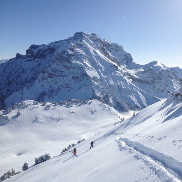 Ski de randonnée