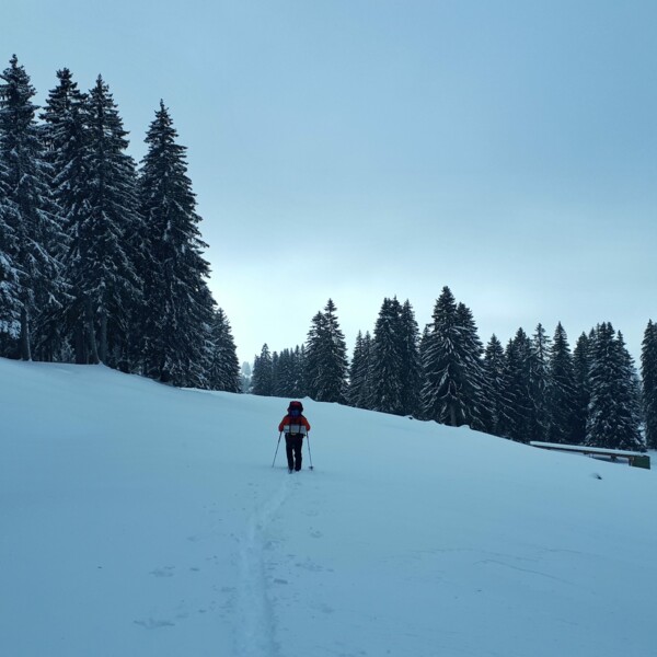 Raquettes au coeur du Jura Suisse