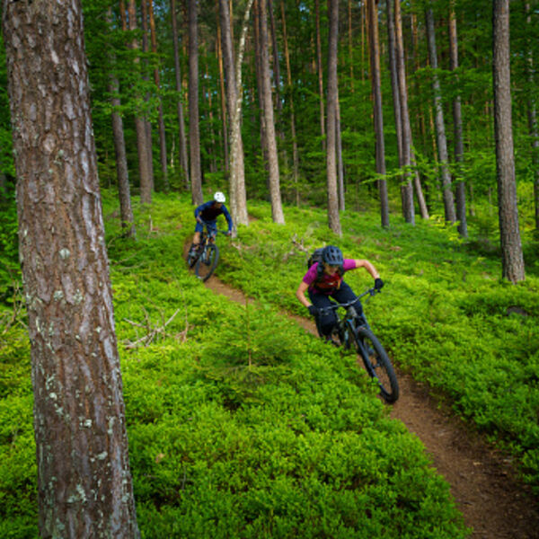 Velo Tout Terrain Annecy et Semnoz