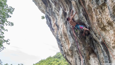 Escalade dans les Gorges du Loups