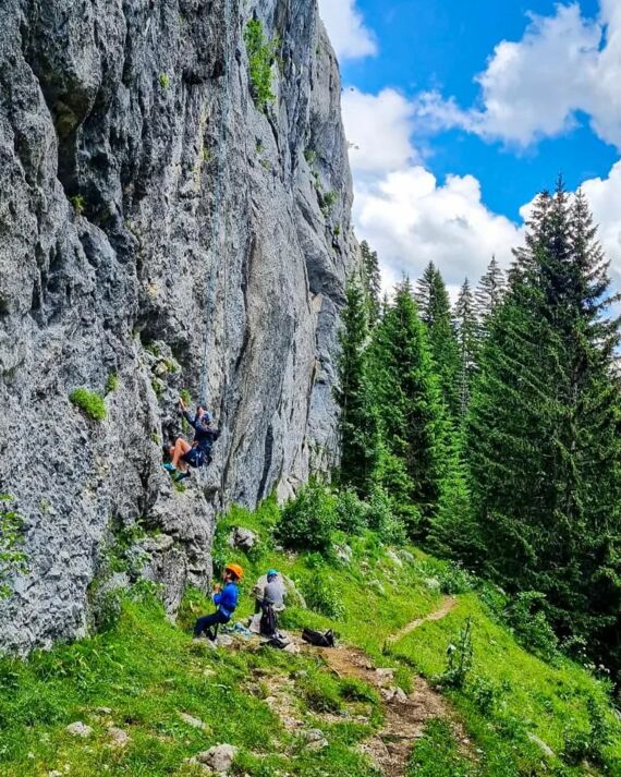 stage enfant escalade de 8 à 12 ans