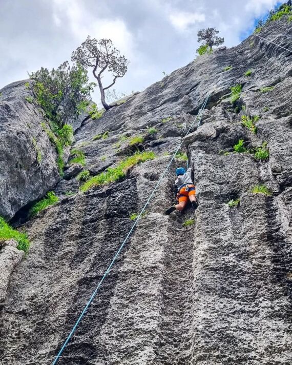 stage enfant escalade de 8 à 12 ans