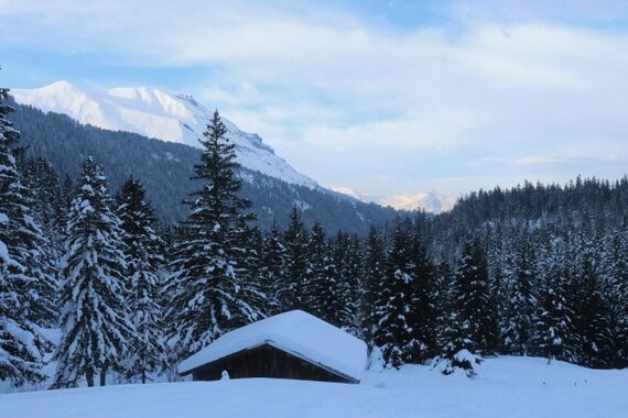 Raquettes au pays du Mont-Blanc