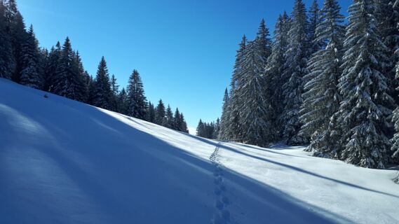 Week end Raquettes suisse