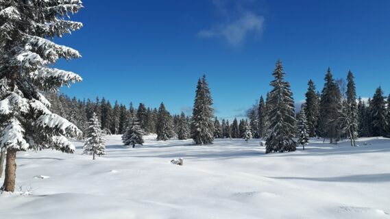 Randonnée Raquettes Jura Suisse