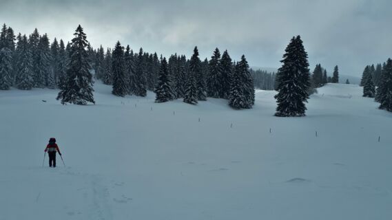 Randonnée Raquettes Jura Suisse