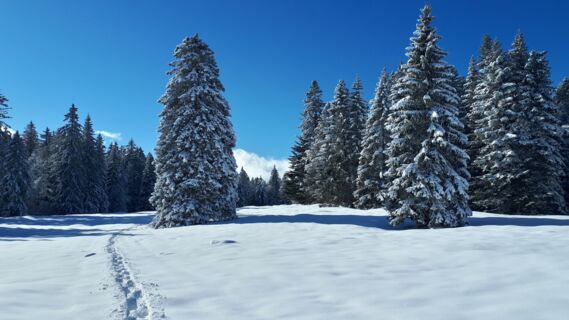 Week end Raquettes  suisse