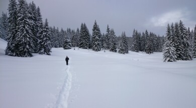 Traversée du plateau des Glières en raquettes